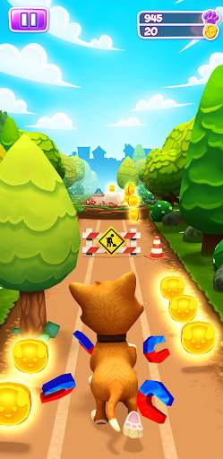 Pet Run - Puppy Dog Game screenshot 1