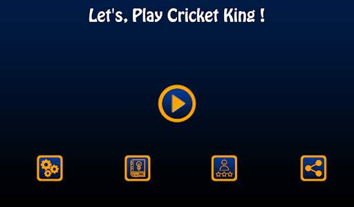 Cricket King screenshot 7