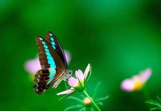 Beauty Camera & Wonderful Photo Editor скриншот 2