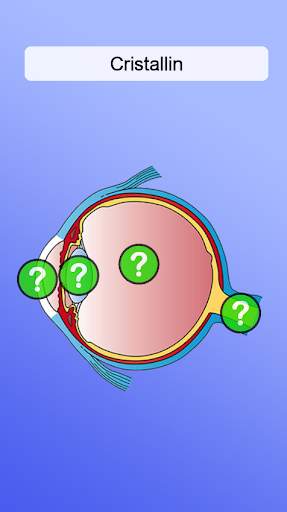 Anatomie screenshot 4