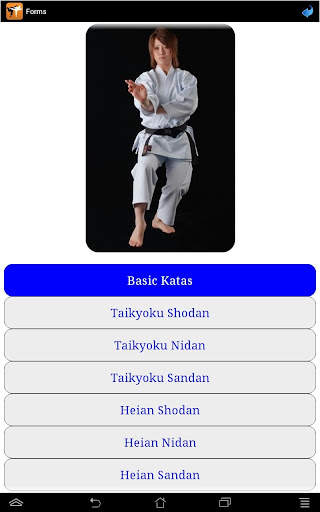 Karate in brief screenshot 23