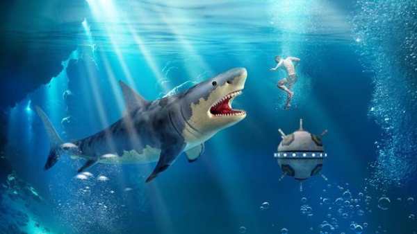 Angry Shark Attack screenshot 2