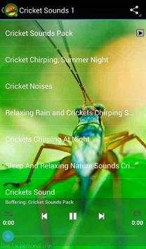 Cricket Sounds screenshot 3