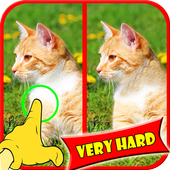 Find Difference Games icon
