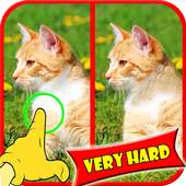 Find Difference Games logo