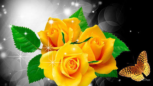 Flowers and Roses Live Wallpaper Gif App screenshot 14