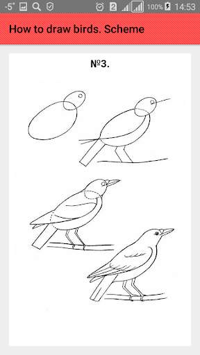 How to draw birds. Scheme screenshot 4