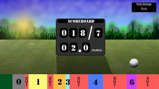 2 Player Cricket Game - CASUAL screenshot 1