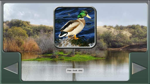 ANIMALES - ANIMALS screenshot 6