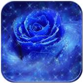 Blue Rose Love Romance Theme 1.1.2