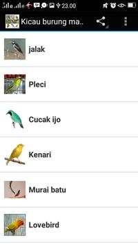Kicau burung masteran screenshot 1
