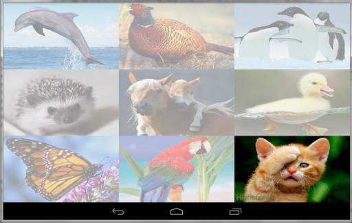 Animals Puzzle Game screenshot 5