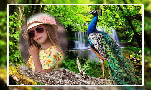 Peacock Photo Frames screenshot 1