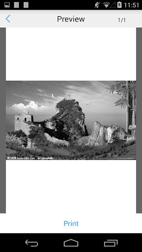 Ricoh Printer screenshot 2