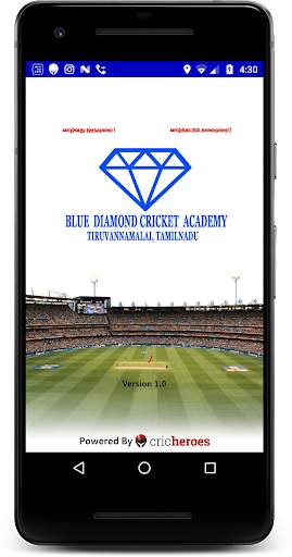 Blue Diamond Cricket Academy screenshot 1