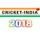 Cricket India 2018-19 1.1
