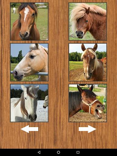 Funny Horse Farm Sounds screenshot 10