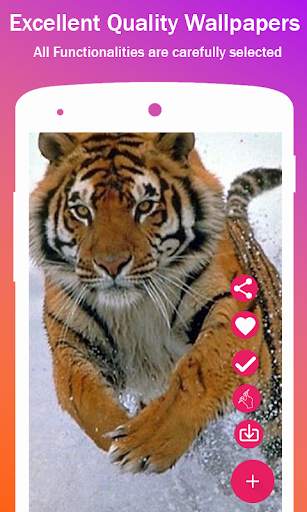 Tiger Hd Wallpapers screenshot 3