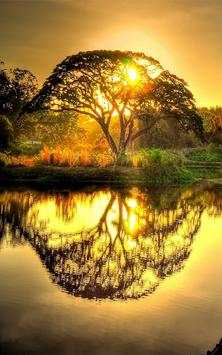 Sunrise Wallpapers screenshot 1