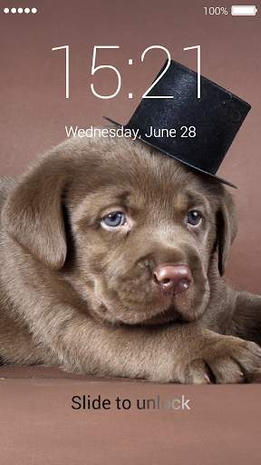 Cute Puppy Lock Screen screenshot 5
