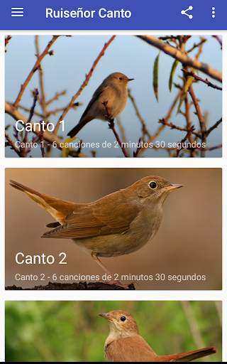 Nightingale Song screenshot 6
