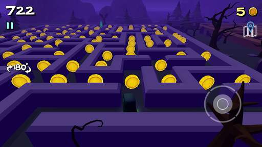 3D Maze 3 - Labyrinth Game screenshot 4