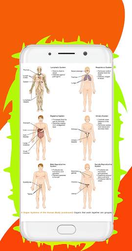 Human Body System – All Body System Offline screenshot 8