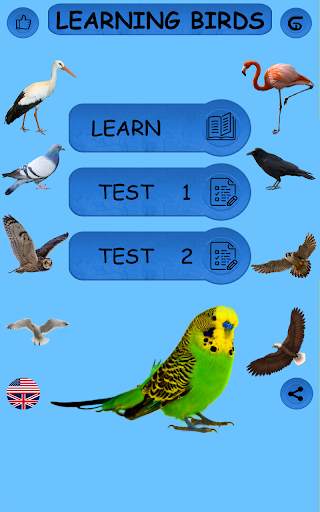 Birds - Learning Birds स्क्रीनशॉट 8