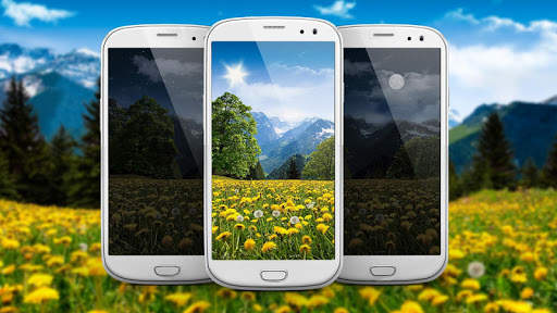 Summer Dandelion Live Wallpaper FREE screenshot 1