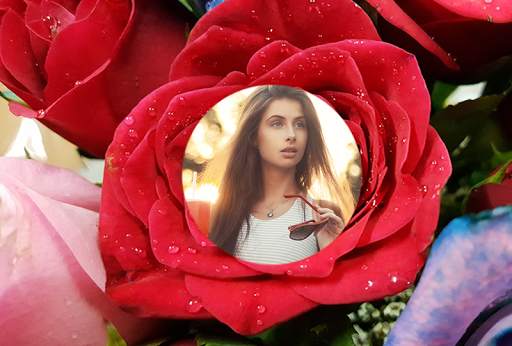 Rose Flower Photo Frames 2016 screenshot 13