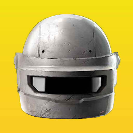 Guide For PUBG New State 1