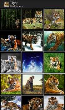 Tigers - HD Wallpapers 1 تصوير الشاشة