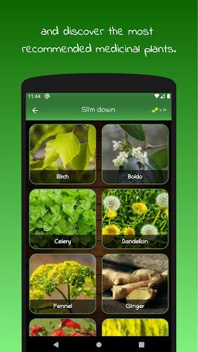 myRemedy: Medicinal plants and their uses screenshot 3