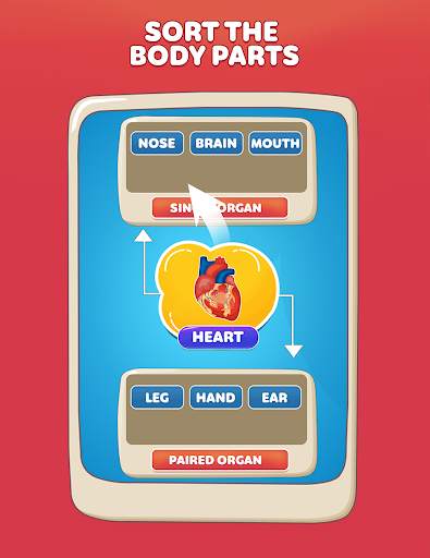 Human Body Parts Learning Game screenshot 11