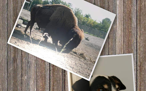 Slideshow 500 FREE screenshot 6