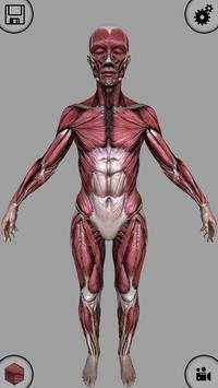 MARA3D Human Anatomy Lite screenshot 7