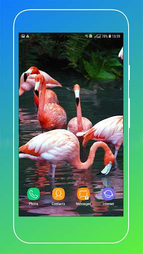 Bird Wallpaper screenshot 4