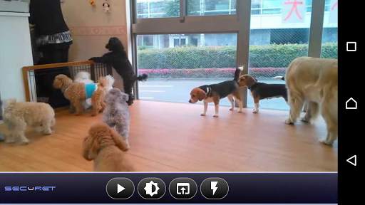 SECuRET ProCam DEMO screenshot 4