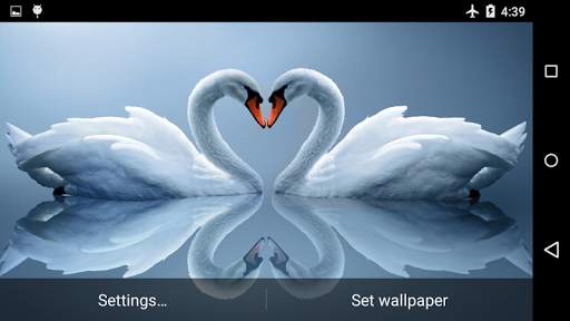 Swans Live Wallpaper screenshot 2