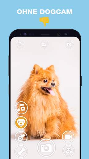 DogCam - Dog Selfie Filters and Camera screenshot 3