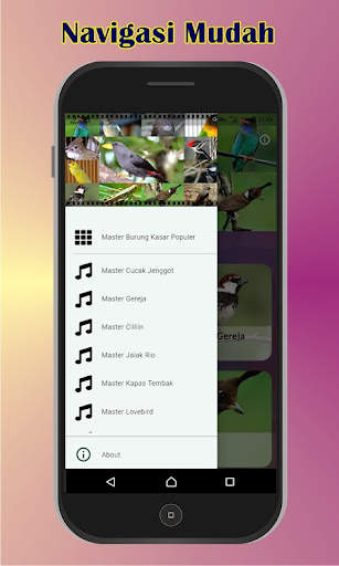 Master Burung Kasar screenshot 2