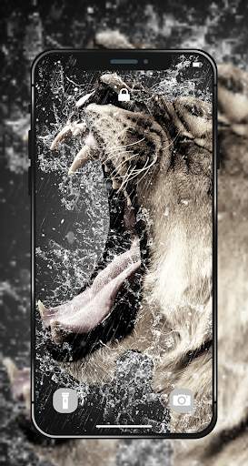 🐯 Lion Wallpapers - Angry 4K | HD Lion Pictures ❤ screenshot 8
