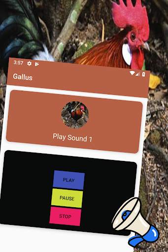 The Sound Of The Gallus Gallus screenshot 3