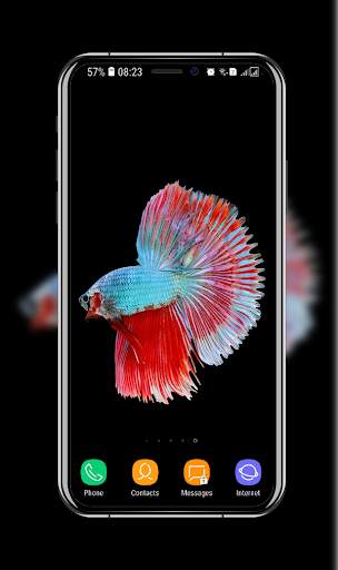 New Betta Fish Wallpaper скриншот 4