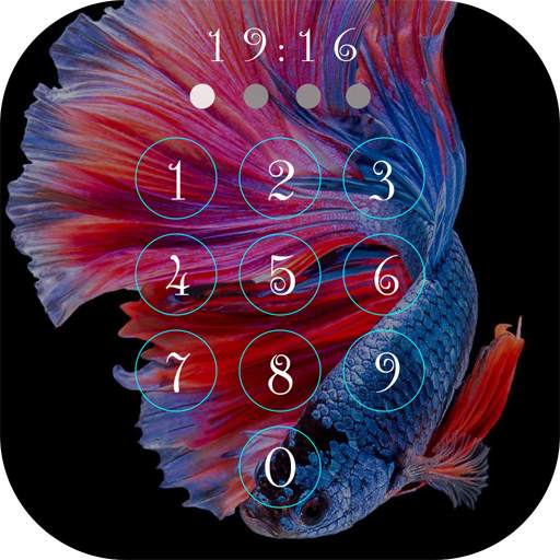 Betta Fish Wallpapers 2021 40.0