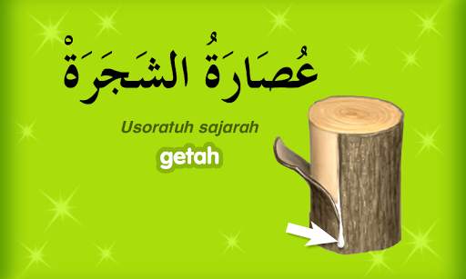 Bahasa Arab Lite screenshot 4