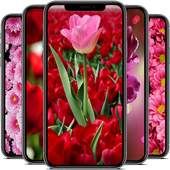 Flower Wallpapers HD 1.2