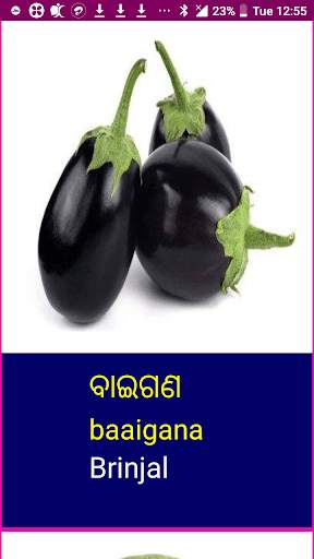Learn Odia Fruits and Vegetables Names скриншот 7
