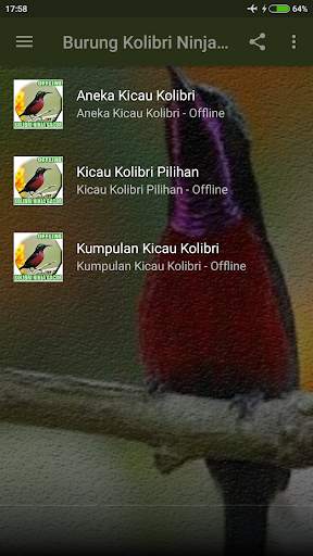 Suara Kolibri Ninja Gacor Mp3 screenshot 2