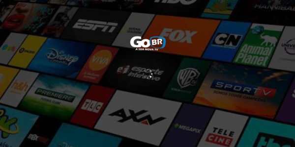 GoBR - Player screenshot 1